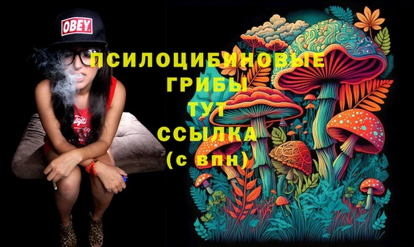 мдма Медвежьегорск