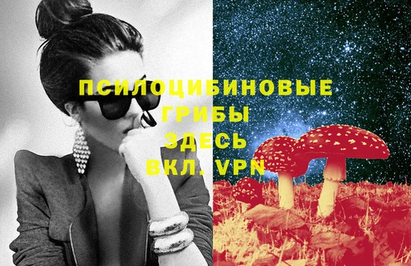 мдма Медвежьегорск