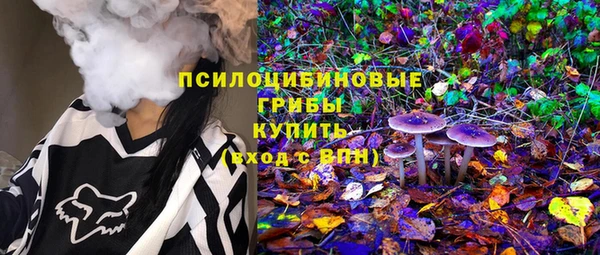 стаф Кущёвская