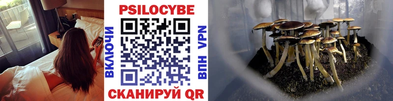 omg как зайти закладка Шумиха Псилоцибиновые грибы ЛСД